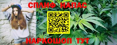 прущие грибы Бузулук