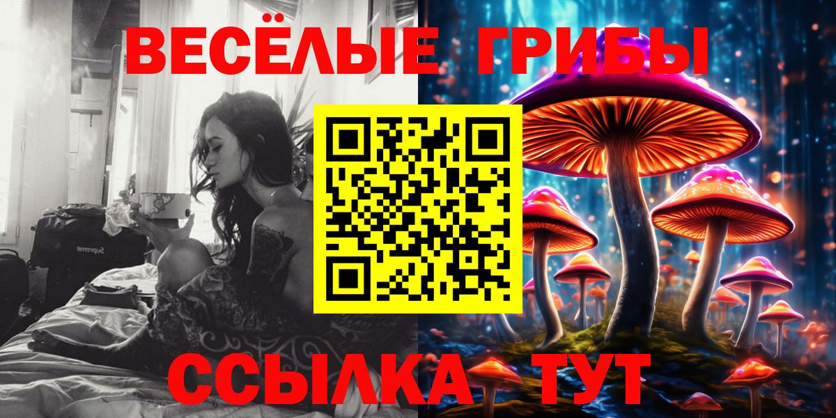 где можно купить наркотик  Вход с VPN  Сальск  Галлюциногенные грибы мицелий  Галлюциногенные грибы мухоморы 